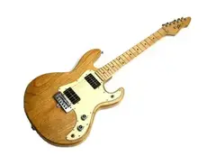 Peavey T-15