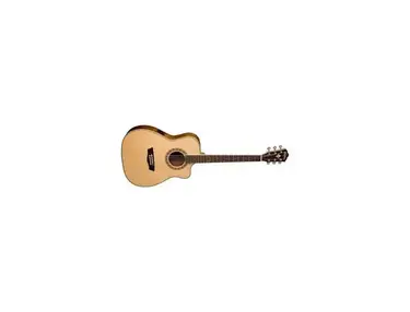 Washburn WF10SCE