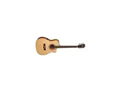 Washburn WF10SCE main image
