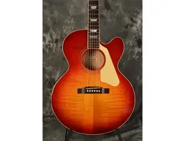 Gibson EAS Deluxe Thinbody Acoustic Guitar