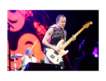 Custom Shop Jazz Bass with Modulus Lane Poor pickup
