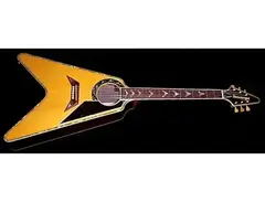 Dommenget Vee Acoustic main image