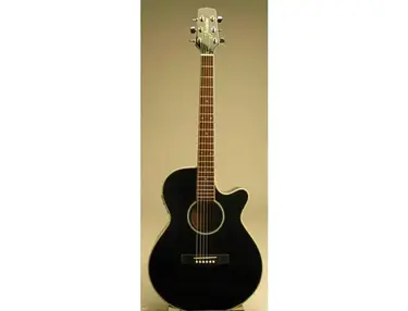 Jasmine ES91C Acoustic