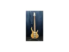 ibanez eda 905
