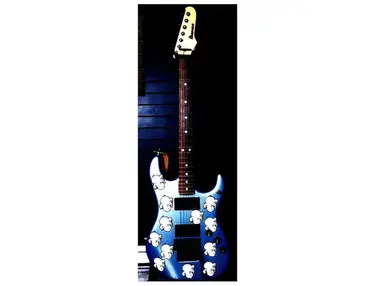 Ibanez Roadstar Custom