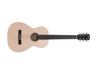 Larrivée Guitars P-01