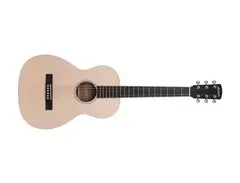 Larrivée Guitars P-01 main image