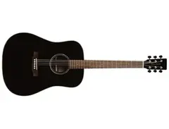 Hudson HD-20S Black Falcon main image