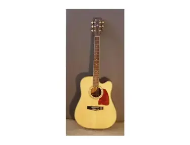 Ibanez AW100CE