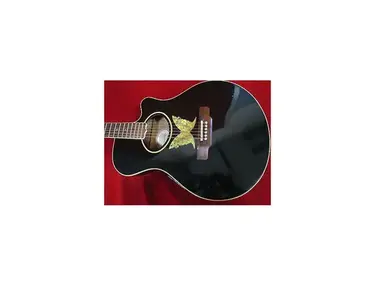 Epiphone Orville E0-2