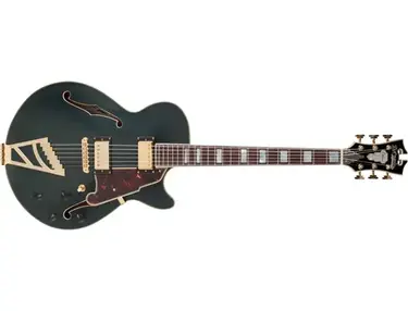 D'Angelico Deluxe SS