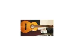 Vincente Tatay Thomas Classical Acoustic Guitar main image