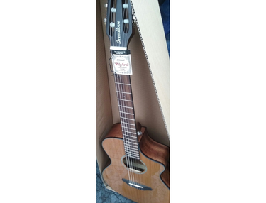 Breedlove A/E Nylon