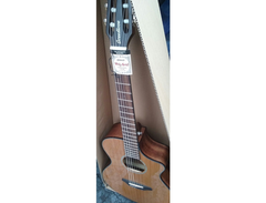 Breedlove A/E Nylon main image