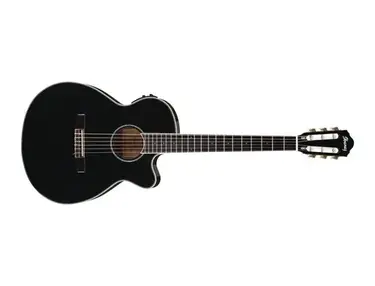 Ibanez AEG10NII BK
