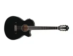 Ibanez AEG10NII BK - What To Know & Where To Buy | Equipboard
