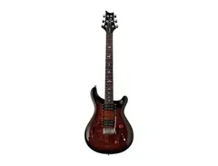 PRS SE Custom 22 Semi-Hollow