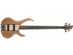 Ibanez BTB670