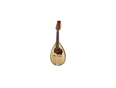 Gewa Round Back Mandolin