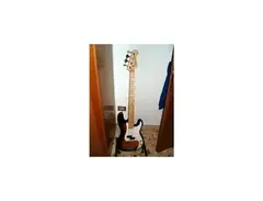 Roytek Traditional Series Bass Guitar P-Bass type