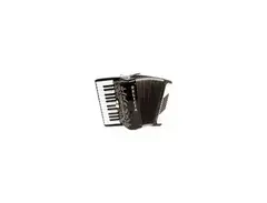 delicia accordion