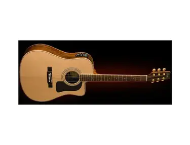 Washburn D-10SCEDL