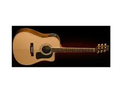 Washburn D-10SCEDL