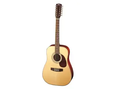 Cort Earth 70-12 ns