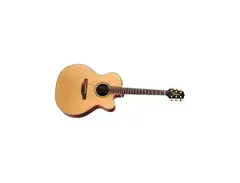 Takamine ETN20C
