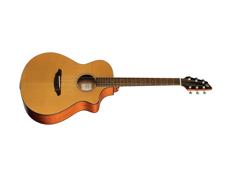 Breedlove Passport C250/CMe Acoustic-Electric Guitar - What To