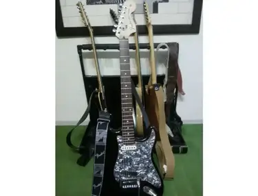 ferder custom shop black with seymour