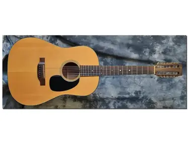 Martin D-20/12