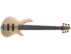 Cort Artisan A6 main image