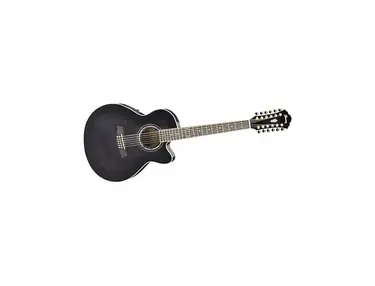 IBANEZ AEL2012E-TKS 12 STRING