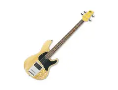 ATK200NT Ibanez main image