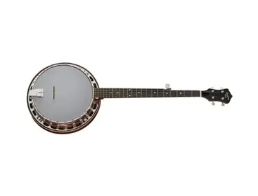 Recording King Dirty 30s Resonator Banjo