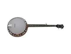 Recording King Dirty 30s Resonator Banjo
