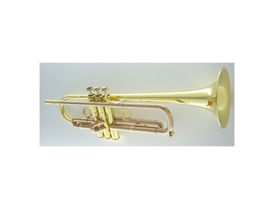 bach selmer trumpet tr300