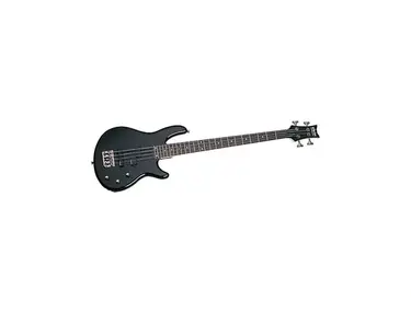 Schecter Raiden Deluxe 4