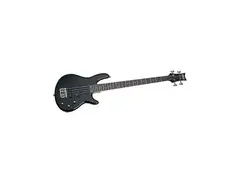 Schecter Raiden Deluxe 4