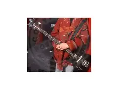 Paul McCartney's Custom Rickenbacker 5 String Bass