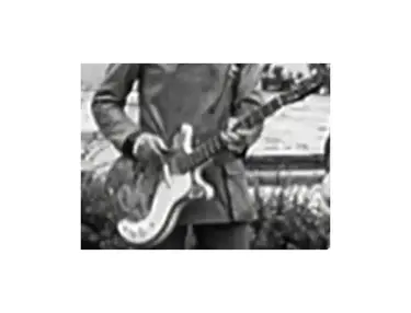 Achim Reichel's Danelectro DC Paintjob Bass