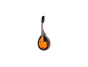Fender Mandolin FM-100