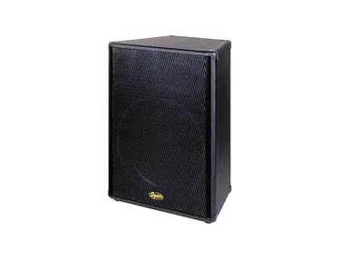 Squier SQ15 Loudspeaker