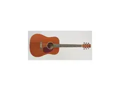 Guitar Works GWD-10 Honduran Mahogany Dreadnaught Acoustic Guitar main image
