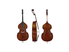 Upright Bass