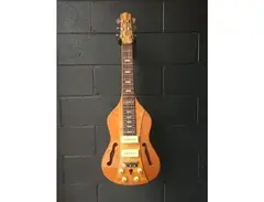 Vorson FLSL-220 Lap Steel