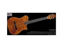Kiesel NS1 6-String Classical Acoustic-Electric main image