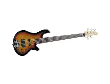 Lakland Skyline Deluxe 55-02 5-String Bass Rosewood Fretboard