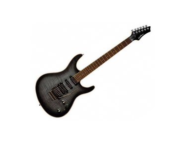 Washburn RX25